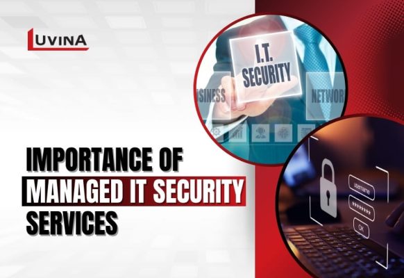 The Importance of Managed IT Security Services