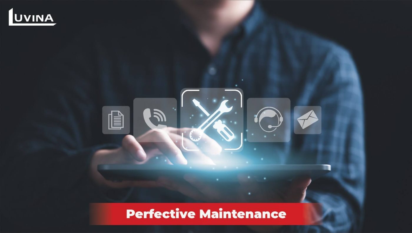 3 types of software maintenance 
