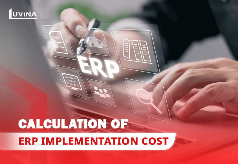 Calculation of ERP implementation cost: How much does it take