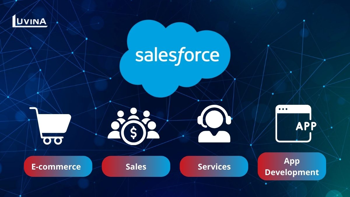Luvina provides Salesforce products