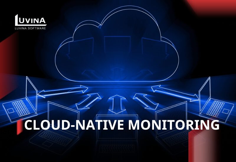 Cloud-native Monitoring: Effective Solutions for Cloud Oversight