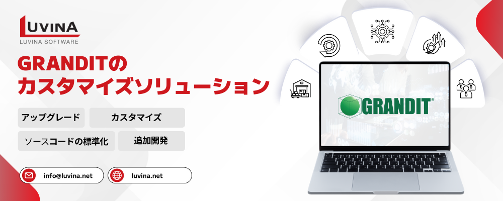 luvina software grandit customization solution