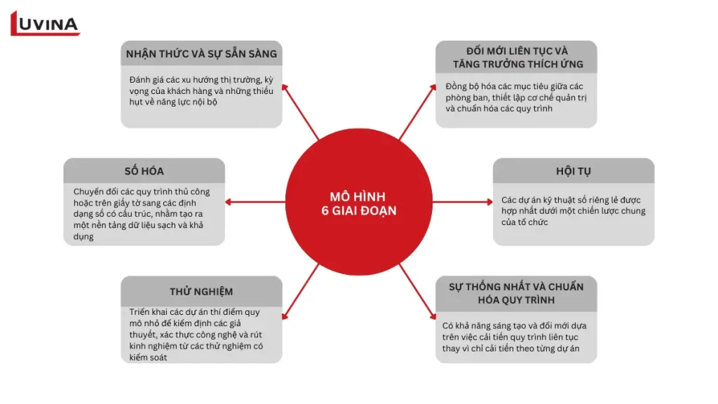 Mô hình vòng tròn 6 giai đoạn chuyển đổi số từ nhận thức đến đổi mới sáng tạo liên tục.