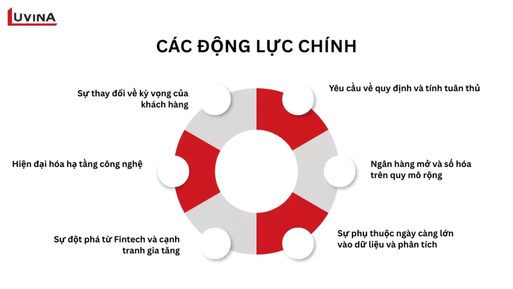 Biểu đồ tròn minh họa 6 động lực chính thúc đẩy chiến lược chuyển đổi số ngành tài chính và ngân hàng.