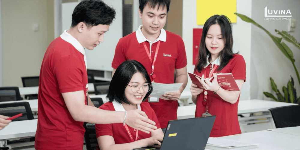 luvina software aras innovator implementation support and consulting track record