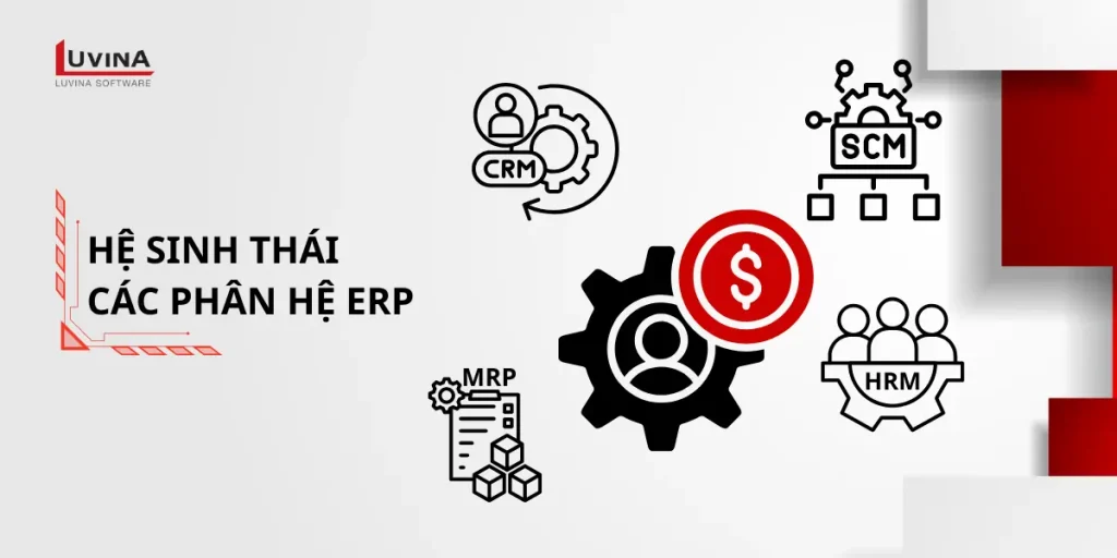 Các phân hệ phổ biến của erp là gì trong quản trị doanh nghiệp.