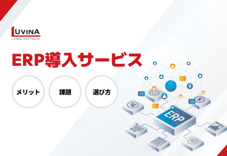 thumb erp implementation services