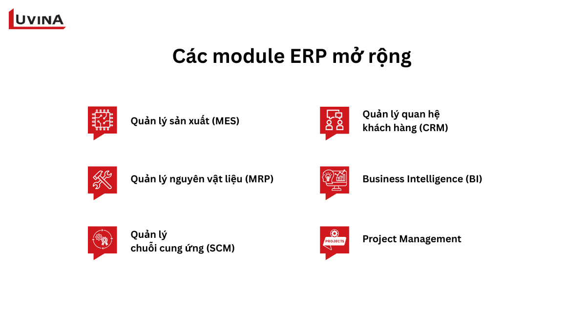 sơ đồ phân tích nhóm module bổ trợ trong các phân hệ của erp như crm, bi và quản lý chuỗi cung ứng.