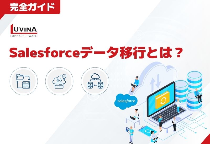 thumb salesforce data migration