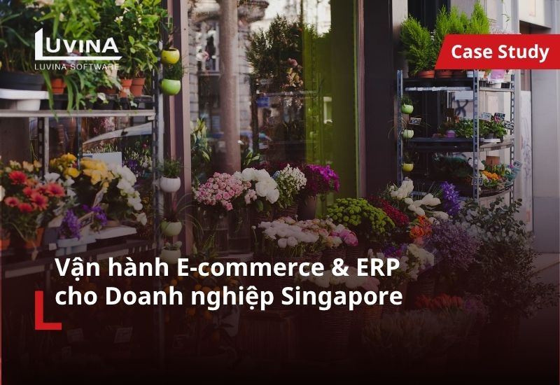Helpdesk và vận hành hệ thống thương mại điện tử và ERP cho doanh nghiệp bán lẻ từ Singapore