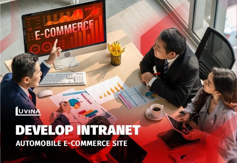 Developing an Intranet e-commerce website for a large Japanese automobile corporation