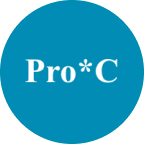 Pro*C