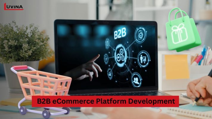 How Custom B2B Ecommerce Platform Development Services Drive Efficiency