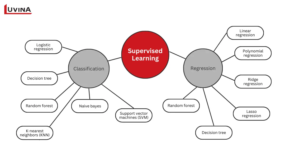 Key Types Of Learning In Machine Learning Explained 7 Supervised learning structure within types of learning in machine learning, illustrating classification and regression algorithms like SVM, KNN, logistic regression, and random forest.
