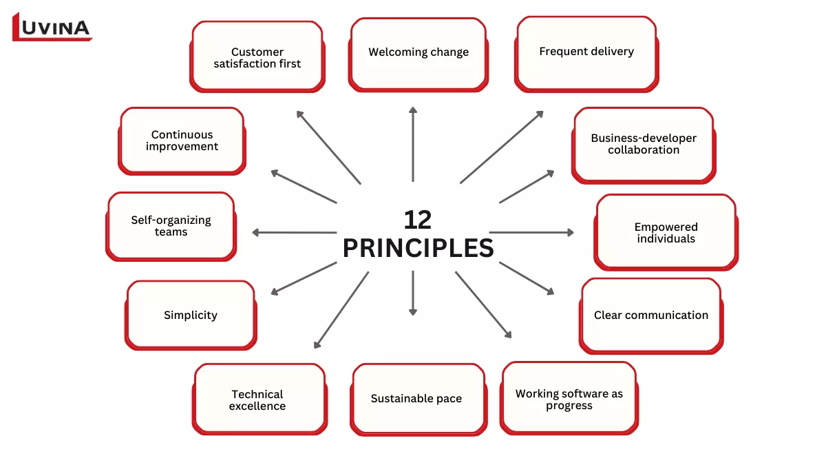 The 12 core principles of agile methodology in software engineering.