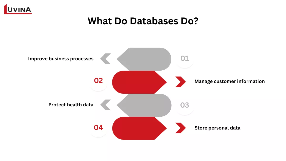 Infographic listing 4 key functions answering what is a database and what it does.