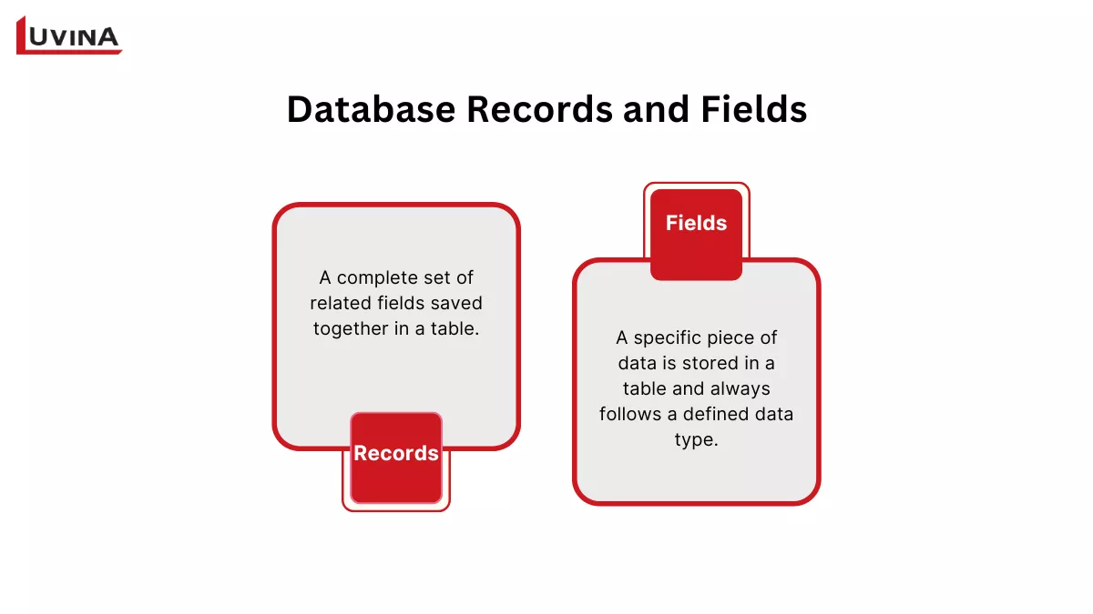 Comparison of Records vs Fields to explain the structure of what is a database.