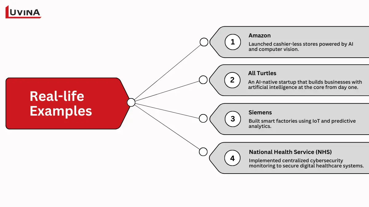 Real-life examples of companies succeeding with their digital transformation strategy.