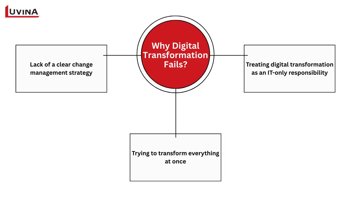 Common reasons organizations struggle when managing digital transformation such as unclear strategy and IT-only responsibility