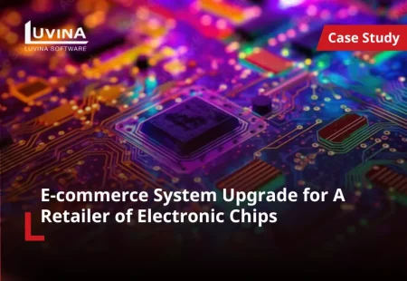 E-commerce System Upgrade for A Retailer of Electronic Chips