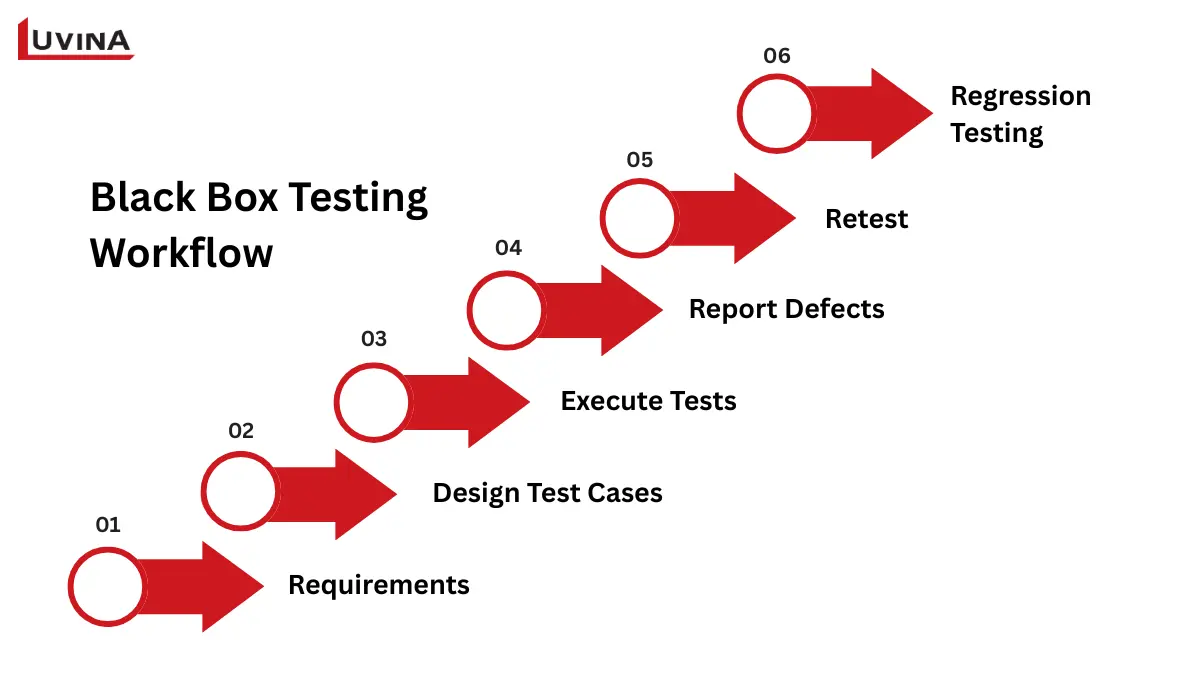 A detailed step-by-step workflow chart illustrating the standard execution cycle of black box testing.